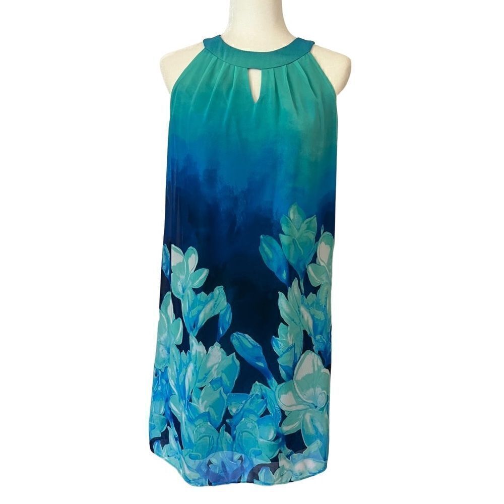 DB Established 1962 Beautiful Blue Floral Chiffon Dress.  Sleeveless. Size 6.